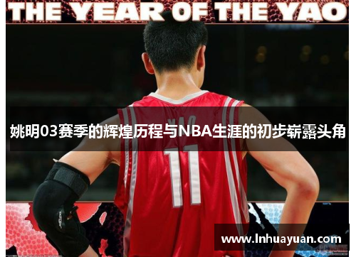 姚明03赛季的辉煌历程与NBA生涯的初步崭露头角