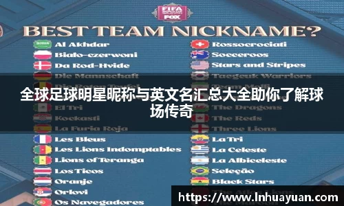全球足球明星昵称与英文名汇总大全助你了解球场传奇